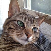 Clara Diaz's photo