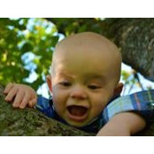 Emily Harken's photo
