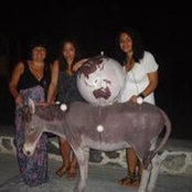 Lynn Beers's photo