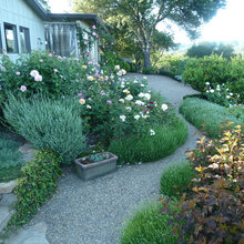 Terraces