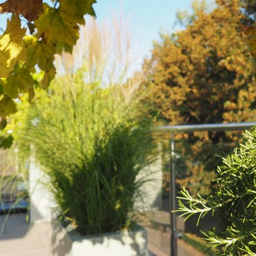 Dachterrasse am Yachthafen Mondorf