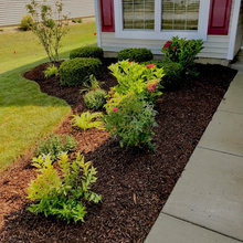 Front Landscaping