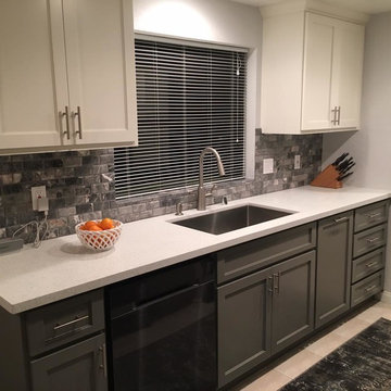Contemporary Kitchen Remodel