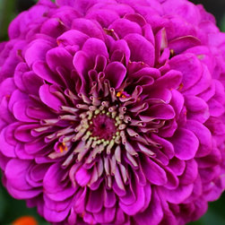 Photography - Products