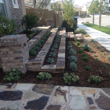 Our Latest Work!