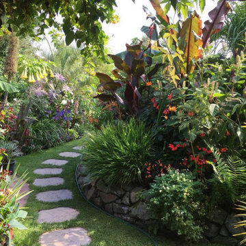 Tropical Garden