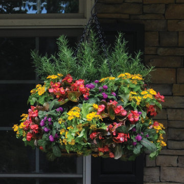 Hanging Baskets