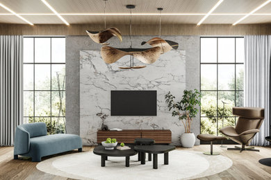 Inspiration for a large contemporary living room in Other.