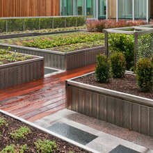 Corrugated Planters