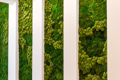 Minimalist hallway photo in Other