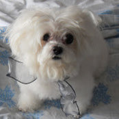 Pamela Silver's photo