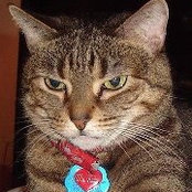 Leslie Kay's photo