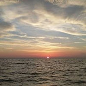 Paul Whaley's photo