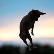 Alex N Lani Wilson's photo
