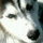 Lucille_L Alston