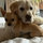 nardia_smith2200686