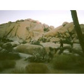 Brandon Russell's photo