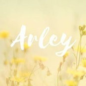 Arley Mosers foto