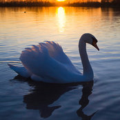 thinkforotherss billede