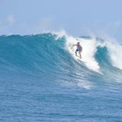 Nathan Robinson's photo