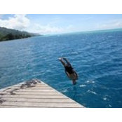 Charl Harpe's photo
