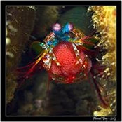 Aylin Şatgeldi's photo