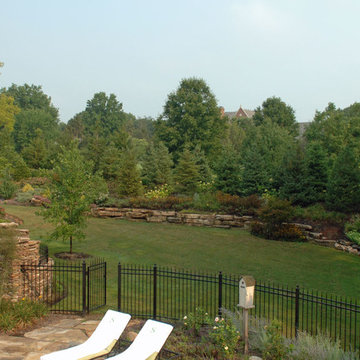 Lush Landscapes