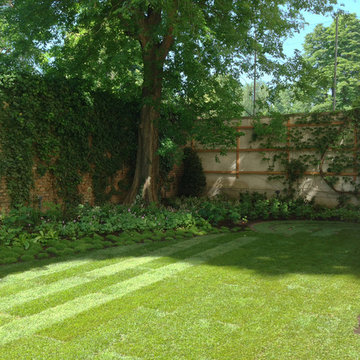 Backyardgarden
