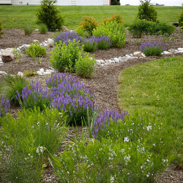 Conservation Meadowscape
