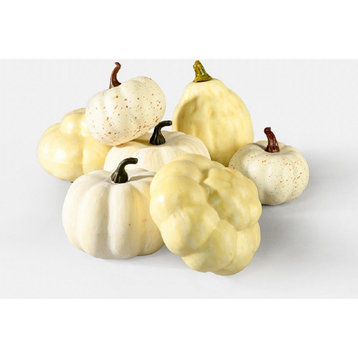 Serene Spaces Living Assorted Harvest Pumpkins and Gourds, Available in 3 option