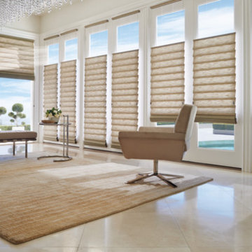 Hunter Douglas Roman Shades