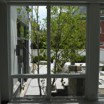 Chicago Residence