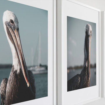 Bob The Pelican 1 - 3 Colorized Wildlife Photograph Wall Art Print