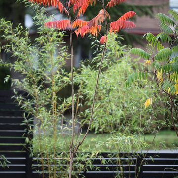 Broadview Garden