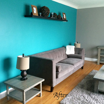 Living/Dining Project