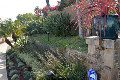 Design ideas for a mid-sized coastal drought-tolerant and partial sun hillside garden path in San Diego.