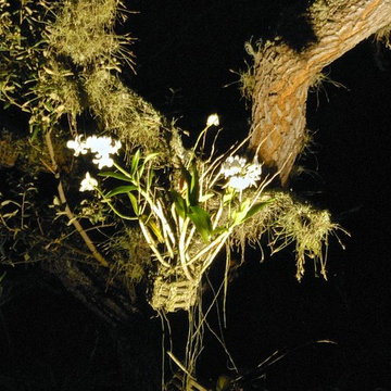 Naples Residence - Outdoor Spaces