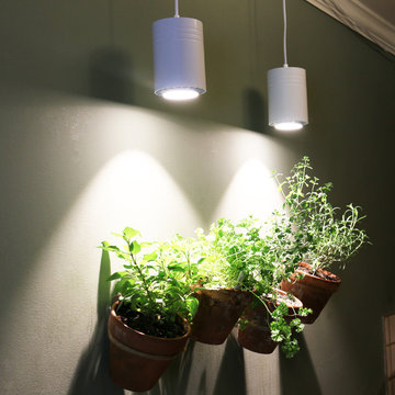 Spice up your Kitchen with Fresh Herbs