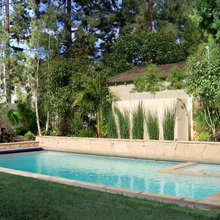 Pool Dreaming