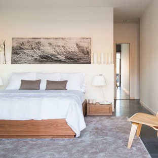 Inspiration för mellanstora moderna huvudsovrum, med vita väggar och skiffergolv