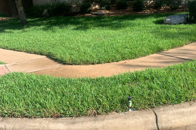 This is an example of a landscaping in Austin.