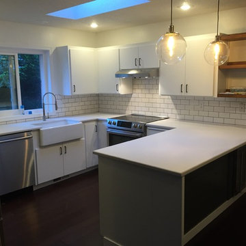 Contemporary Kitchen Remodel