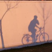 Robert Lane's photo