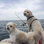 Michael Baskerville's photo