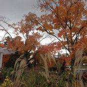 Patty Brown's photo