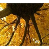 Cara Baggott's photo