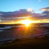 Julie Greening's photo