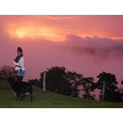 Maya Cohen's photo