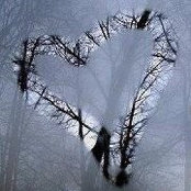 Foto von Genevieve Smith
