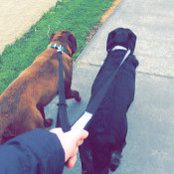 Foto von Shayla Johnson